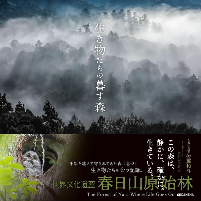 PREORDER The Forest Where Creatures Live - Kasugayama Primeval Forest Photography Book