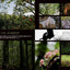 PREORDER The Forest Where Creatures Live - Kasugayama Primeval Forest Photography Book