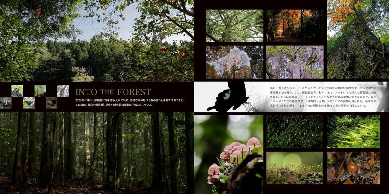 PREORDER The Forest Where Creatures Live - Kasugayama Primeval Forest Photography Book