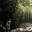 PREORDER The Forest Where Creatures Live - Kasugayama Primeval Forest Photography Book