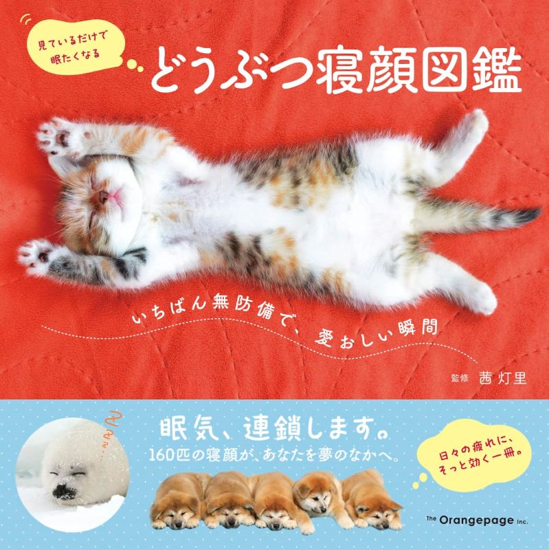 PREORDER Animal Sleeping Faces: The Most Vulnerable and Adorable Moments