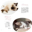 PREORDER Animal Sleeping Faces: The Most Vulnerable and Adorable Moments