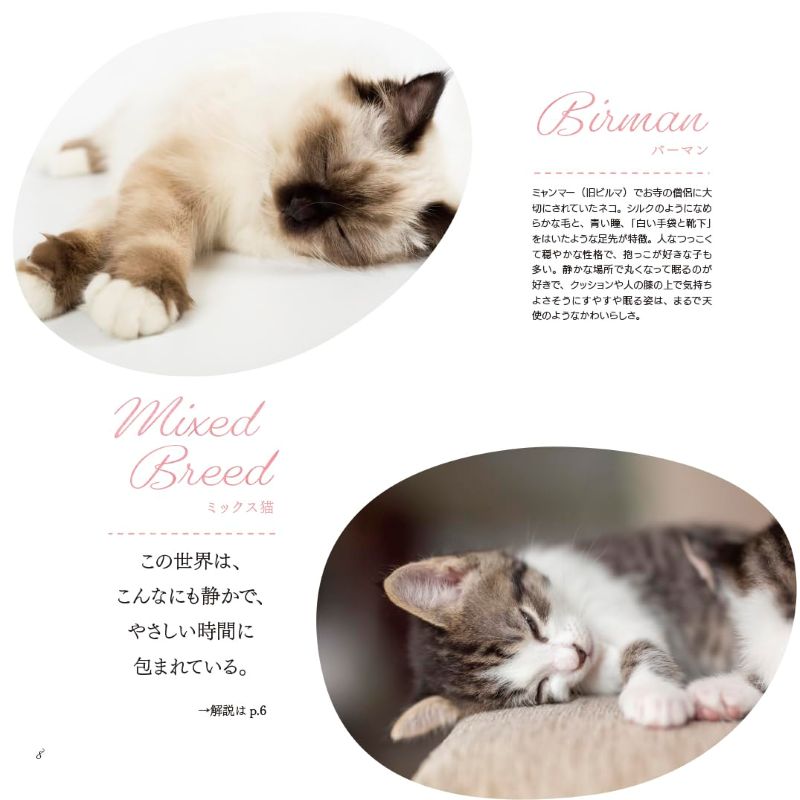 PREORDER Animal Sleeping Faces: The Most Vulnerable and Adorable Moments