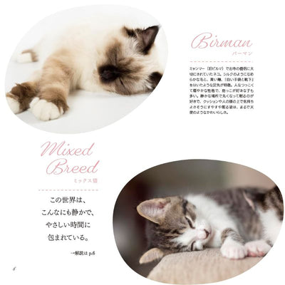 PREORDER Animal Sleeping Faces: The Most Vulnerable and Adorable Moments