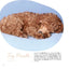 PREORDER Animal Sleeping Faces: The Most Vulnerable and Adorable Moments