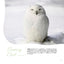 PREORDER Animal Sleeping Faces: The Most Vulnerable and Adorable Moments