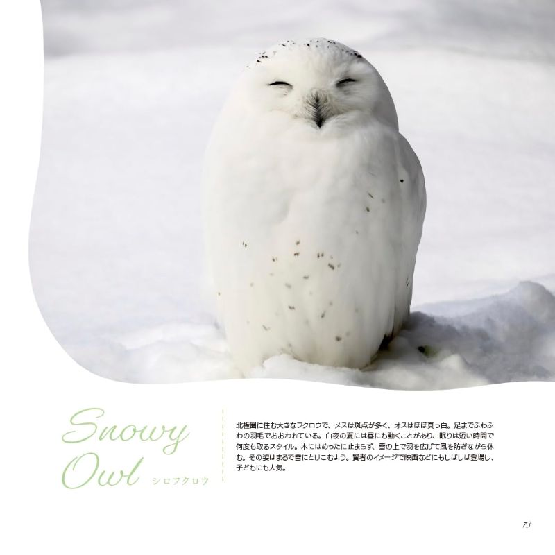 PREORDER Animal Sleeping Faces: The Most Vulnerable and Adorable Moments
