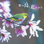 PREORDER Wild Birds and Blossoms