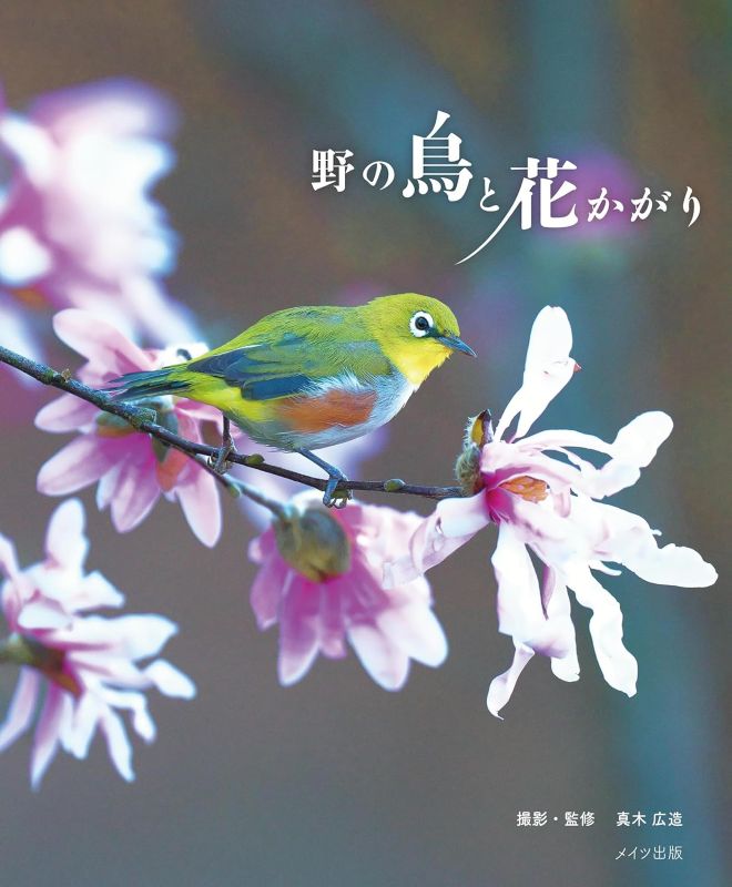 PREORDER Wild Birds and Blossoms