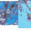 PREORDER Wild Birds and Blossoms