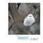 PREORDER Exchange Diary with Shima Enaga: Winter, Spring, Summer, Autumn Vol. 3
