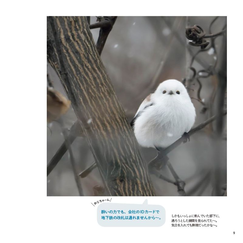 PREORDER Exchange Diary with Shima Enaga: Winter, Spring, Summer, Autumn Vol. 3