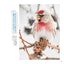 PREORDER Exchange Diary with Shima Enaga: Winter, Spring, Summer, Autumn Vol. 3