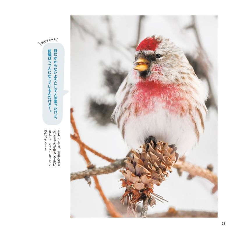 PREORDER Exchange Diary with Shima Enaga: Winter, Spring, Summer, Autumn Vol. 3
