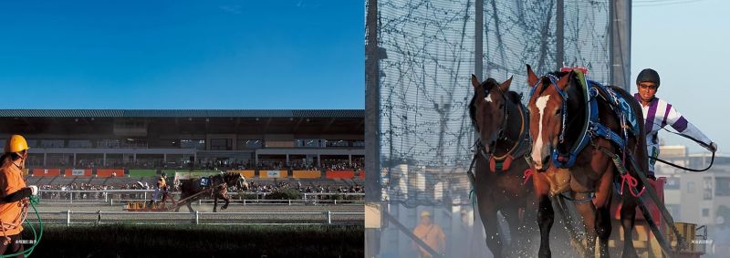 PREORDER Horsepower: Banei Horse Racing Photographs by Shin Yamagishi