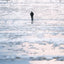 PREORDER Vessel of Light Photography Book