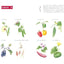 PREORDER Easy Adult Coloring Book: Flowers and Vegetables