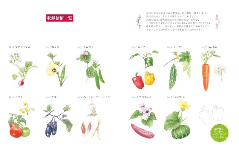 PREORDER Easy Adult Coloring Book: Flowers and Vegetables