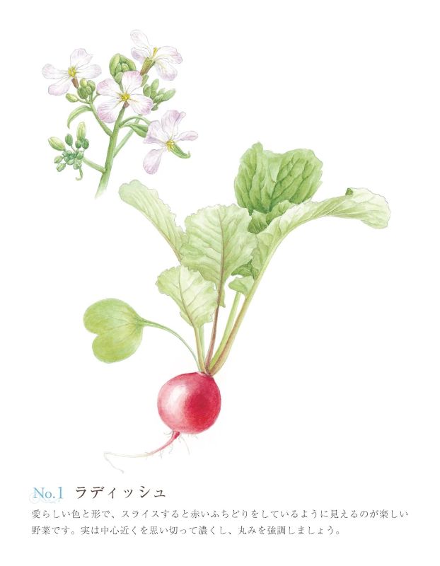 PREORDER Easy Adult Coloring Book: Flowers and Vegetables