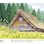 PREORDER Easy Adult Coloring Book: Relaxing Landscapes