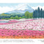 PREORDER Easy Adult Coloring Book: Relaxing Landscapes
