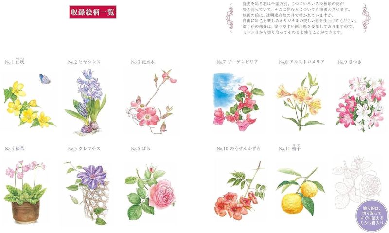 PREORDER Easy Adult Coloring Book: Flowers in the Garden