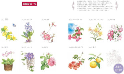 PREORDER Easy Adult Coloring Book: Flowers in the Garden