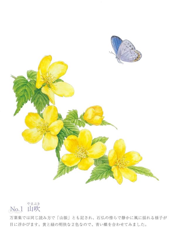 PREORDER Easy Adult Coloring Book: Flowers in the Garden