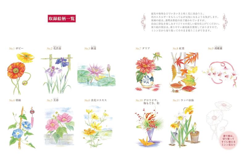 PREORDER Easy Adult Coloring Book: Flowers in Full Bloom