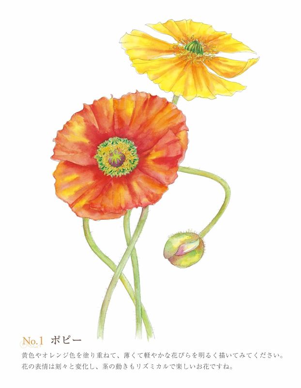 PREORDER Easy Adult Coloring Book: Flowers in Full Bloom