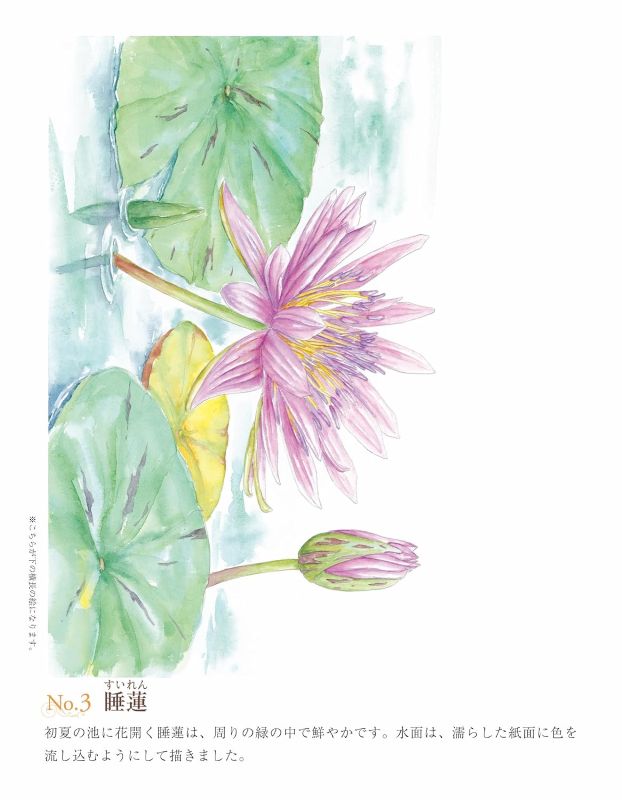 PREORDER Easy Adult Coloring Book: Flowers in Full Bloom