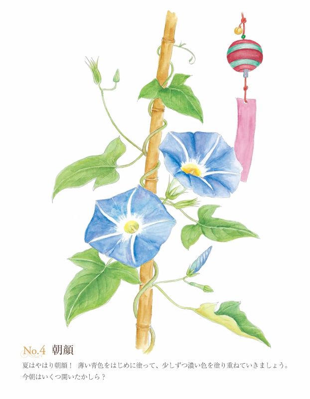 PREORDER Easy Adult Coloring Book: Flowers in Full Bloom