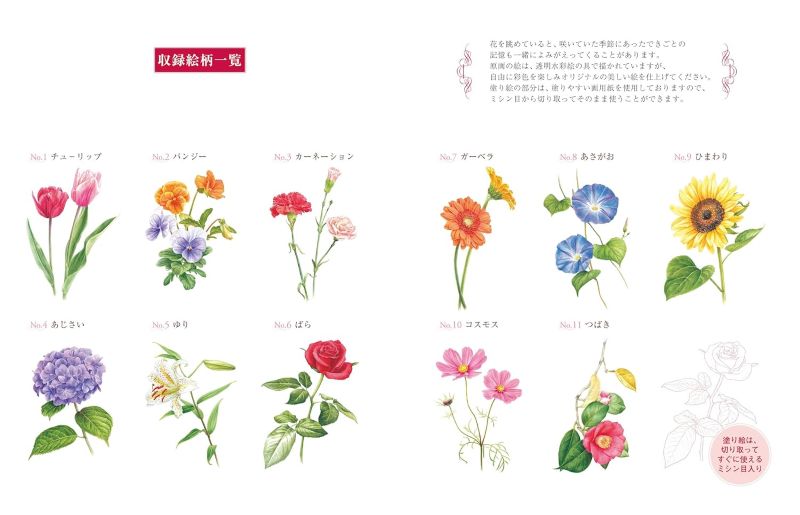 PREORDER Easy Adult Coloring Book: Beautiful Blossoms