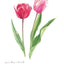 PREORDER Easy Adult Coloring Book: Beautiful Blossoms