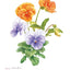PREORDER Easy Adult Coloring Book: Beautiful Blossoms