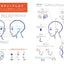 PREORDER The Figure Drawing Bible: Solve the "Something Feels Off" Problem
