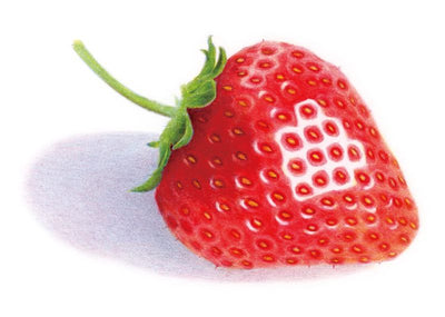 PREORDER Realistic Colored Pencil Color Mixing Recipes: Starting with Just 3 Colors
