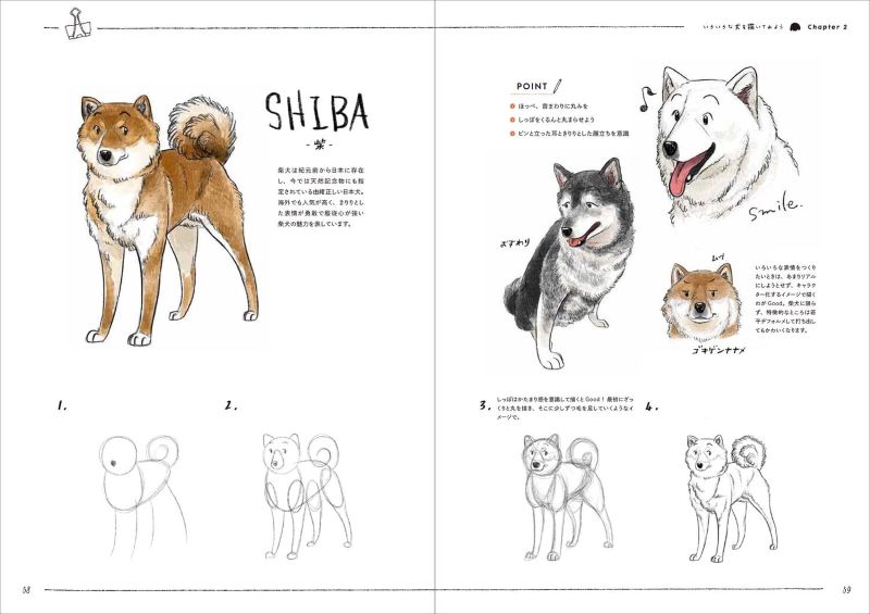 PREORDER Dog & Cat Illustration Workbook: Draw Cute Animals in 4 Easy Steps