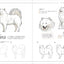 PREORDER Dog & Cat Illustration Workbook: Draw Cute Animals in 4 Easy Steps