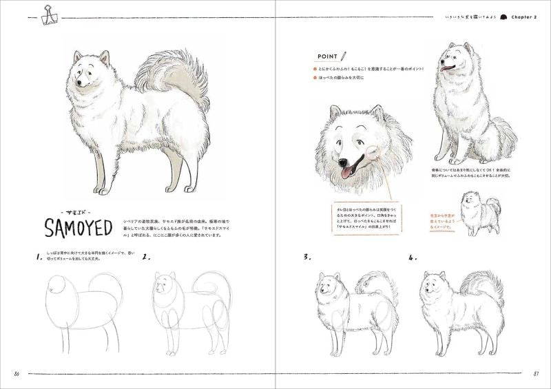 PREORDER Dog & Cat Illustration Workbook: Draw Cute Animals in 4 Easy Steps