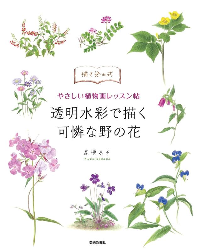 PREORDER Transparent Watercolor Wildflowers: An Easy Botanical Drawing Lesson Book