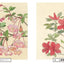 PREORDER Botanical Sketches of Japanese Flowers: Favorites of Edo Commoners