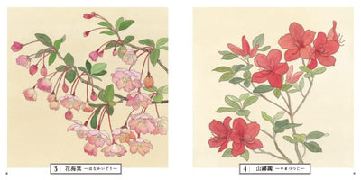PREORDER Botanical Sketches of Japanese Flowers: Favorites of Edo Commoners
