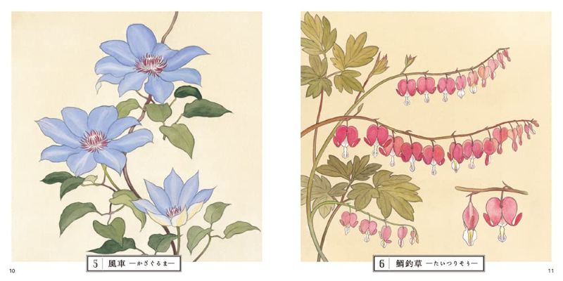 PREORDER Botanical Sketches of Japanese Flowers: Favorites of Edo Commoners