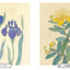 PREORDER Botanical Sketches of Japanese Flowers: Favorites of Edo Commoners