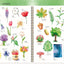 PREORDER Easy Watercolor in 4 Steps: From Fruits, Plants & Sweets to Cute Creatures