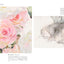 PREORDER Draw Beautiful Lifelike Colored Pencil Art with Simple Techniques