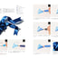 PREORDER Draw Beautiful Lifelike Colored Pencil Art with Simple Techniques