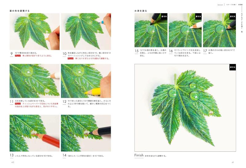 PREORDER Draw Beautiful Lifelike Colored Pencil Art with Simple Techniques
