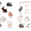 PREORDER The Way of the Rabbit: Why Rabbits Are So Adorable